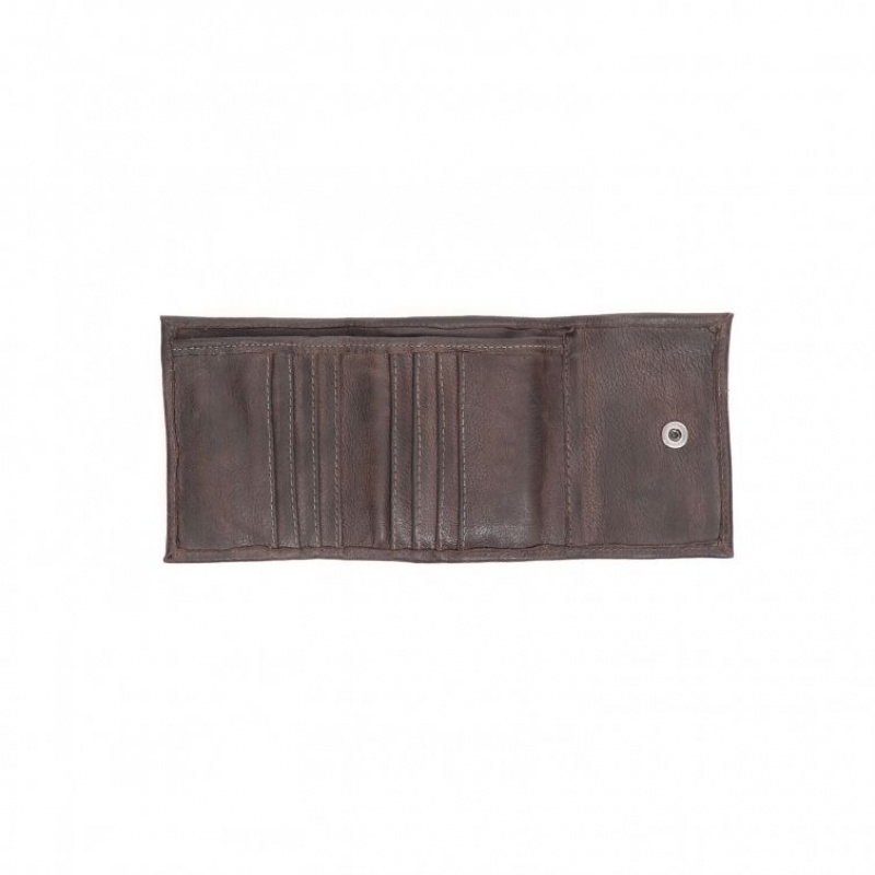 Portefeuilles A.S.98 Coleman Unisex Chocolat | FR-715238TSH